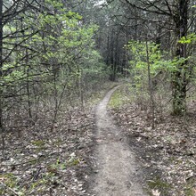 Heather DeRose - Gans Creek Wild Area Trail (MO)