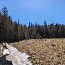 Kyra Powell - Mizzy Lake Trail (ON, Canada)