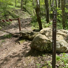 David Hedges - Black Mountain Crest Trail (NC)