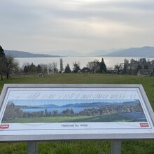 Florian Amstad - Lake Zürich Circumnavigation (Switzerland)