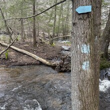 Kara Olivito - Nipmuck Trail (CT)