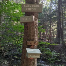Jemma Issroff - CT Appalachian Trail (CT)