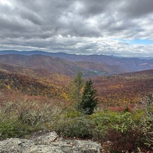 Laura Matacia - Shining Rock Wilderness Ridge (NC)