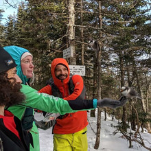 Leah Lawry, Jason Beaupre, Andrew Soares / Winter NH 48 4,000-footers FKT